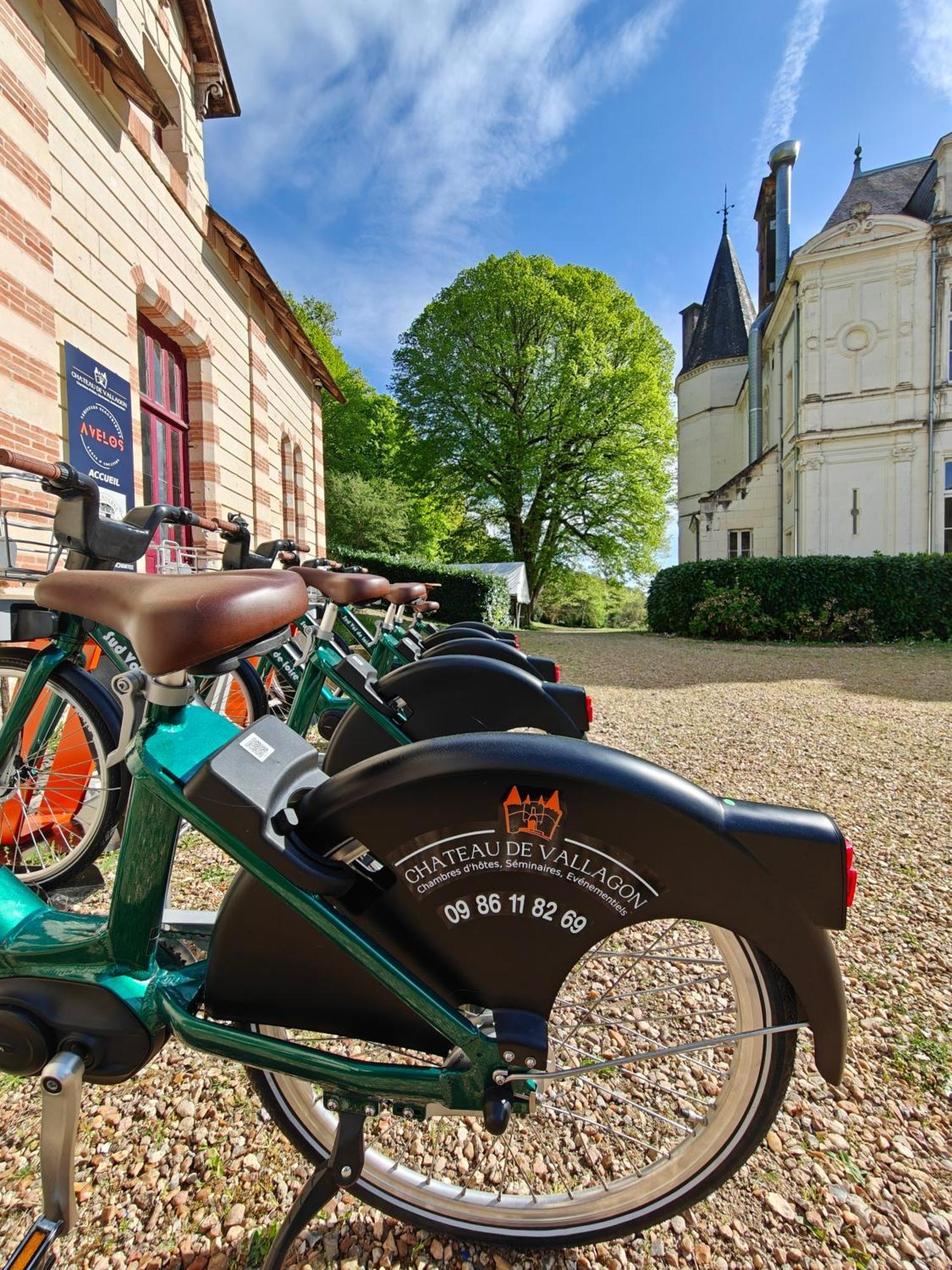 Chateau De Vallagon 蒙特里夏尔 外观 照片